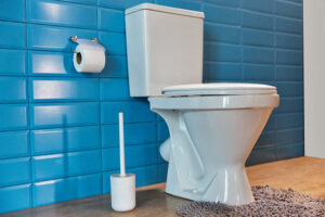 Clogged Toilet Repair Services from Mike Counsil Plumbing