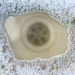 Clogged kitchen sink